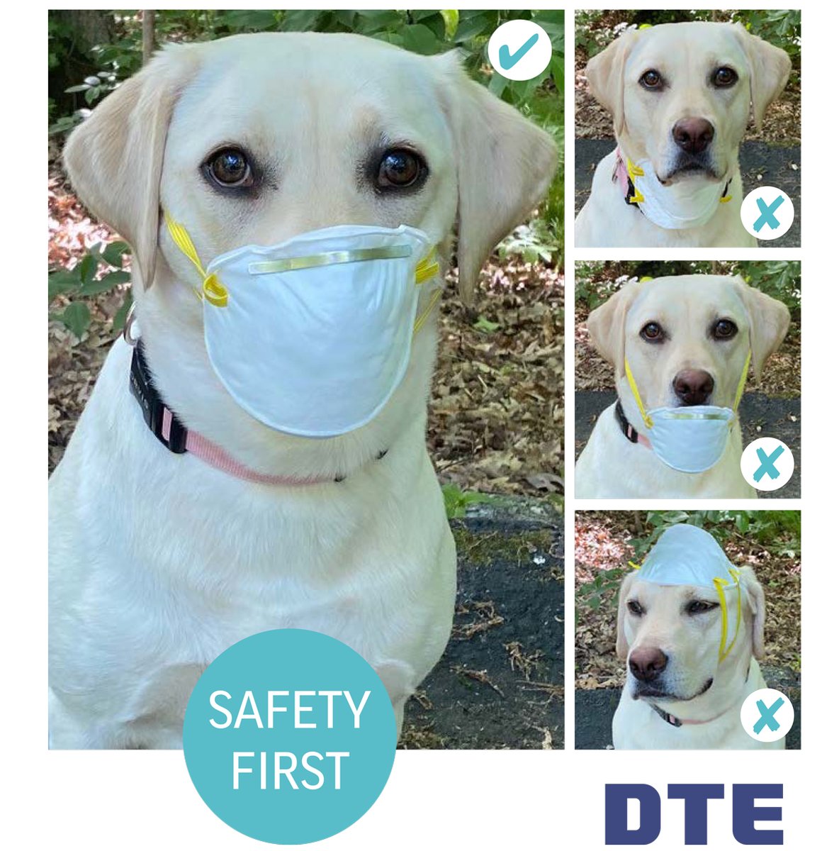 DTE_Energy tweet media