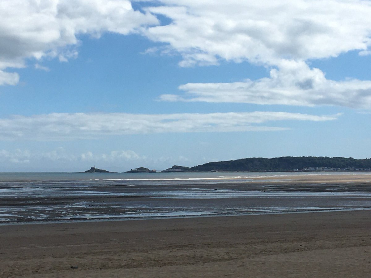 Louise Platt tweet media