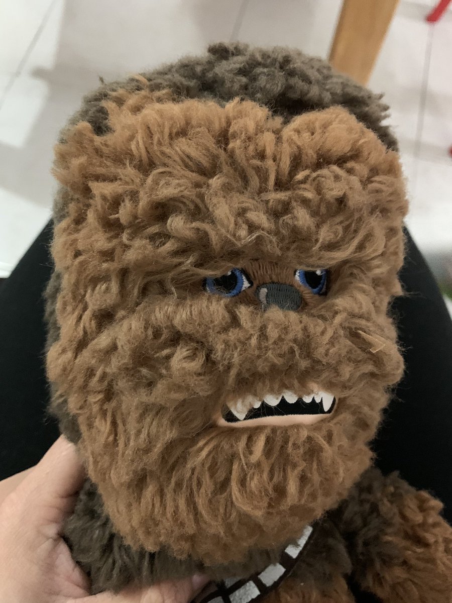quiltro_chileno's tweet photo. @Rarelyy_ Me acordé de la niña que baño a Chewbacca y le quedó crespo https://t.co/ATOB1Kihlk