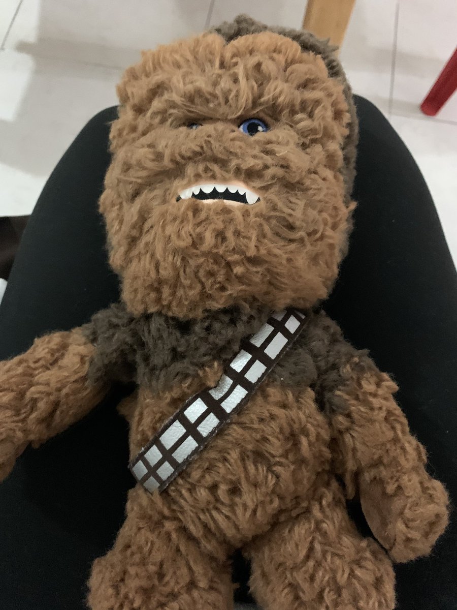 quiltro_chileno's tweet photo. @Rarelyy_ Me acordé de la niña que baño a Chewbacca y le quedó crespo https://t.co/ATOB1Kihlk