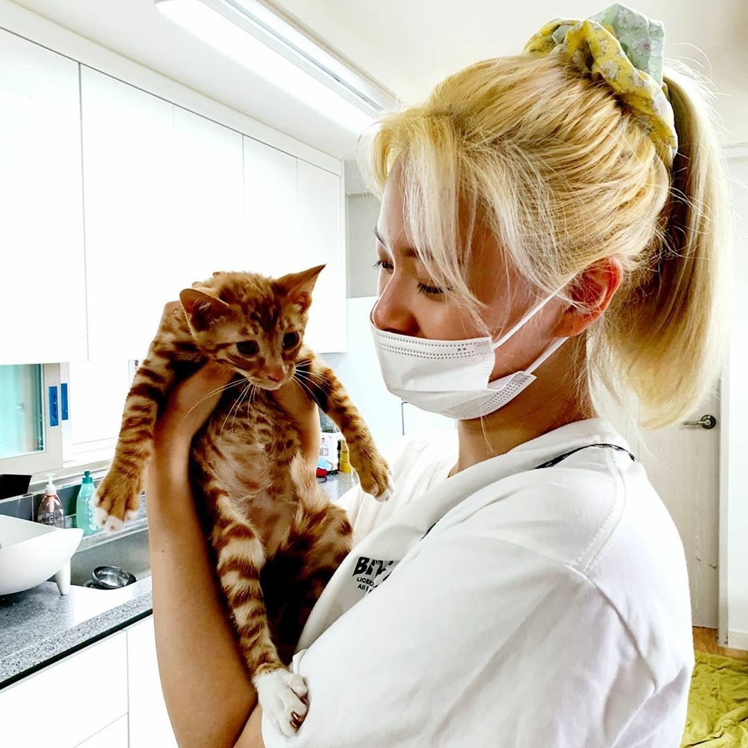 misayeon's tweet image. Jeongyeon playing with a 3 month old kitten while volunteering at the animal shelter 🥺🐱

instagram.com/p/CCTokJ5HhxZ
#TWICE #트와이스 @JYPETWICE