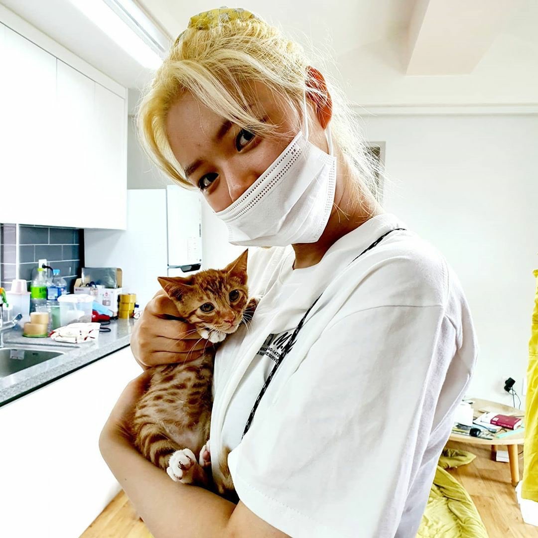 misayeon's tweet image. Jeongyeon playing with a 3 month old kitten while volunteering at the animal shelter 🥺🐱

instagram.com/p/CCTokJ5HhxZ
#TWICE #트와이스 @JYPETWICE