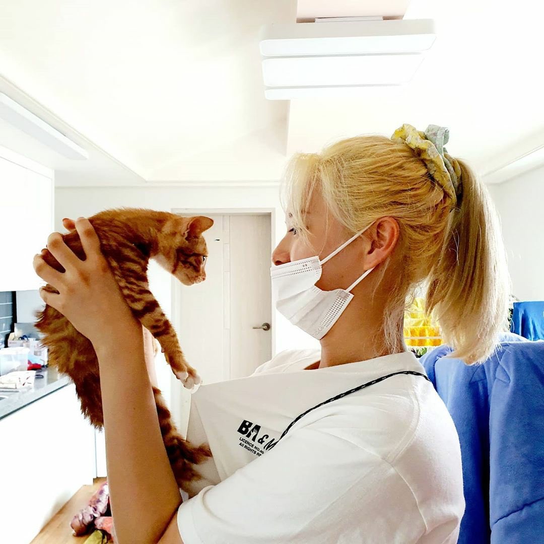 misayeon's tweet image. Jeongyeon playing with a 3 month old kitten while volunteering at the animal shelter 🥺🐱

instagram.com/p/CCTokJ5HhxZ
#TWICE #트와이스 @JYPETWICE