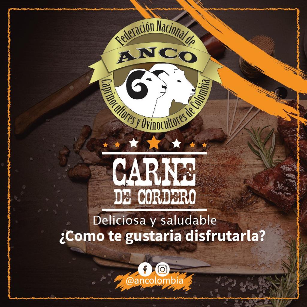 ancolombia's tweet photo. La carne de cordero es un alimento especialmente rico en proteínas de buena calidad, es deliciosa y saludable. 
¿Cómo te gustaría disfrutarla? 
Síguenos en Instagram como @ancolombia 
https://t.co/epebxmA7At
.
.
.
#carne #cordero #carnedecordero
#alimentoespecial #carnedecalidad https://t.co/KbIImCRjpb