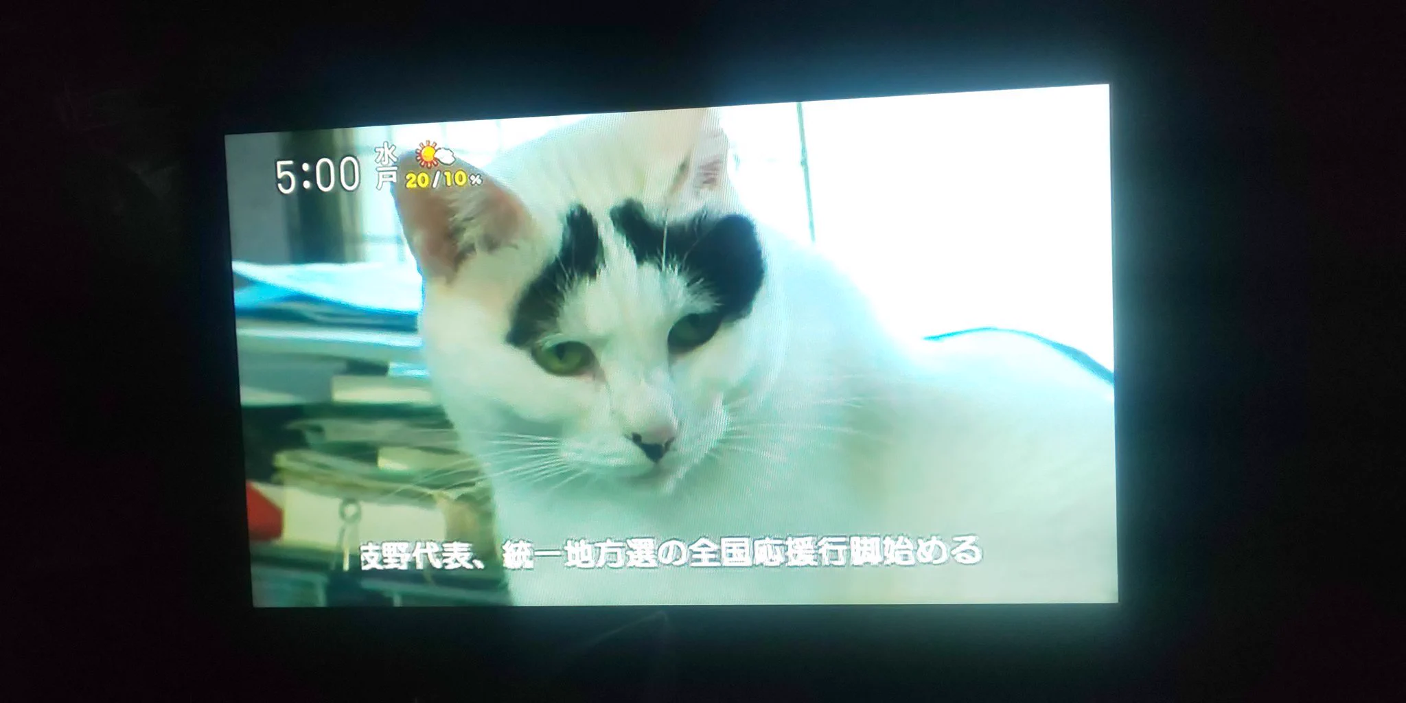 @Yurukuyaru @nondakure_nicon 日本には麻呂っぽいのがいる(東京MXｰ2より) 