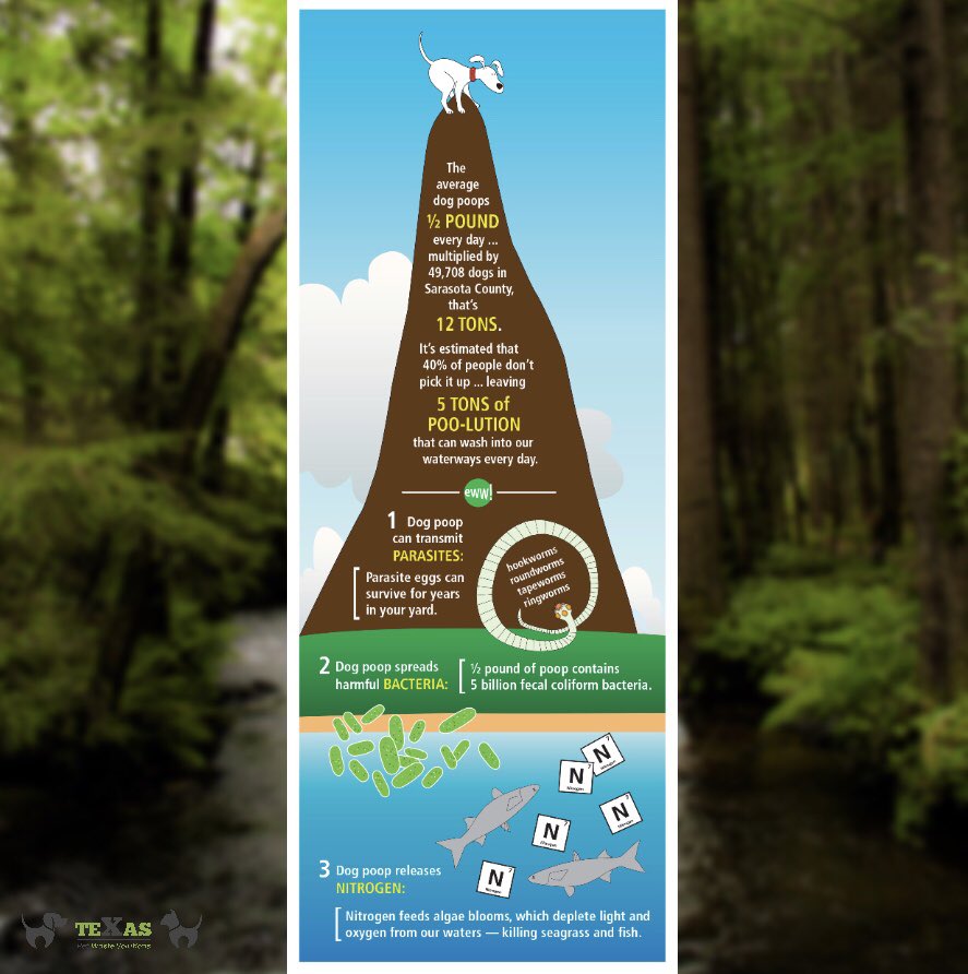 Your solution for pet pollution. 

Contact/ Follow Us:
Phone: (281) 760-3191
Website:texaspetwastesolutions.com
.
.
#pethealth #dogboarding #dogfood #petlover #doglife #doggy #dogdaycare #vet #catlover #petstore #dogwalking #coronavirus    #texaspetwastesolutions