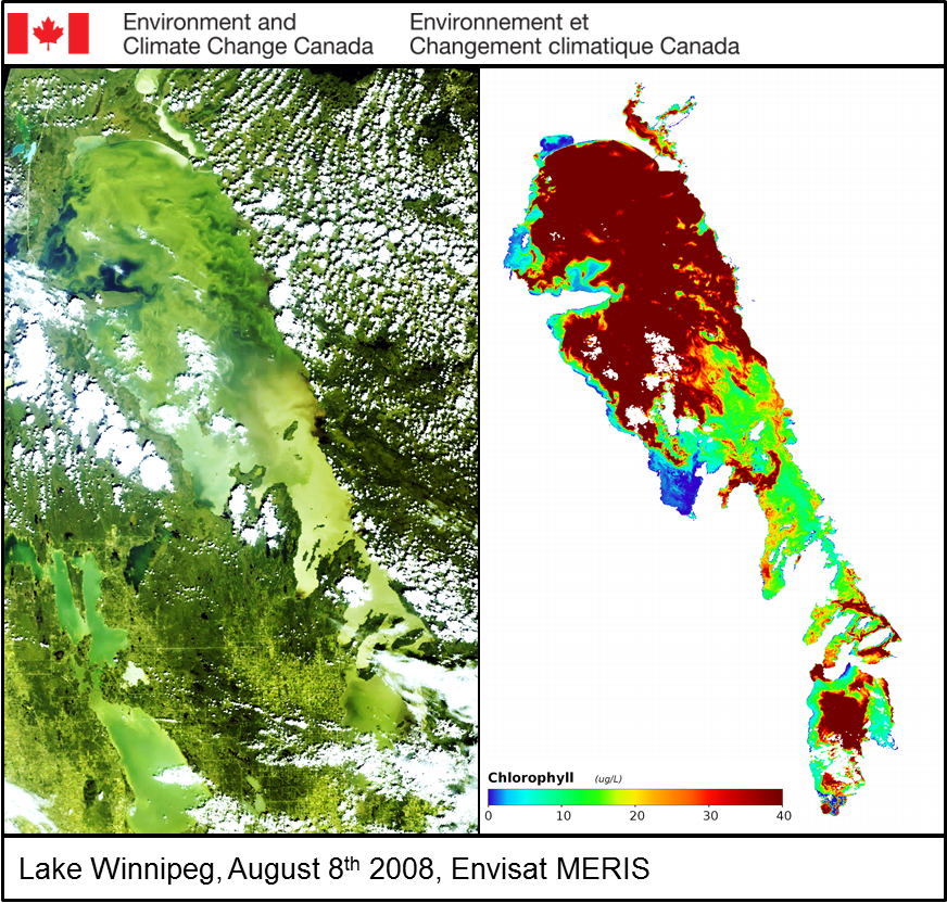 IAGLR's tweet photo. Lake Winnipeg from Space! @EOLakeWatch uses satellite imagery to assess patterns, trends and drivers of #LakeWinnepeg algal blooms.  #GreatLakesSci 

Read more here: https://t.co/rCjSemAquS https://t.co/aMHFZ7foRA