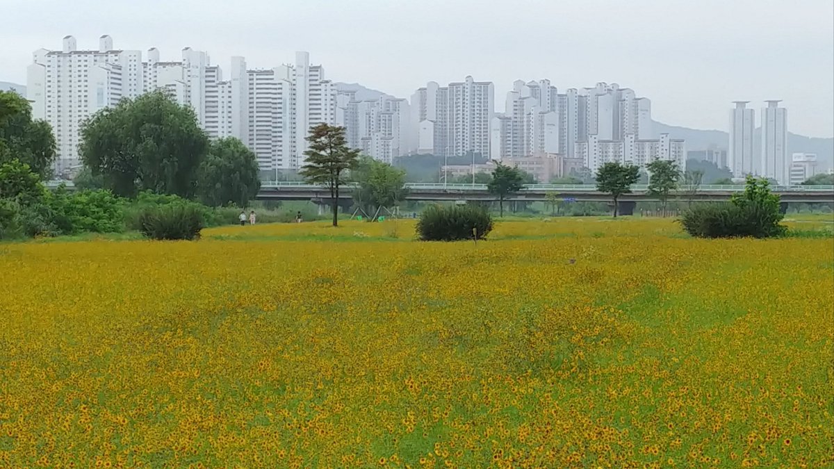 lee yoo seung tweet media