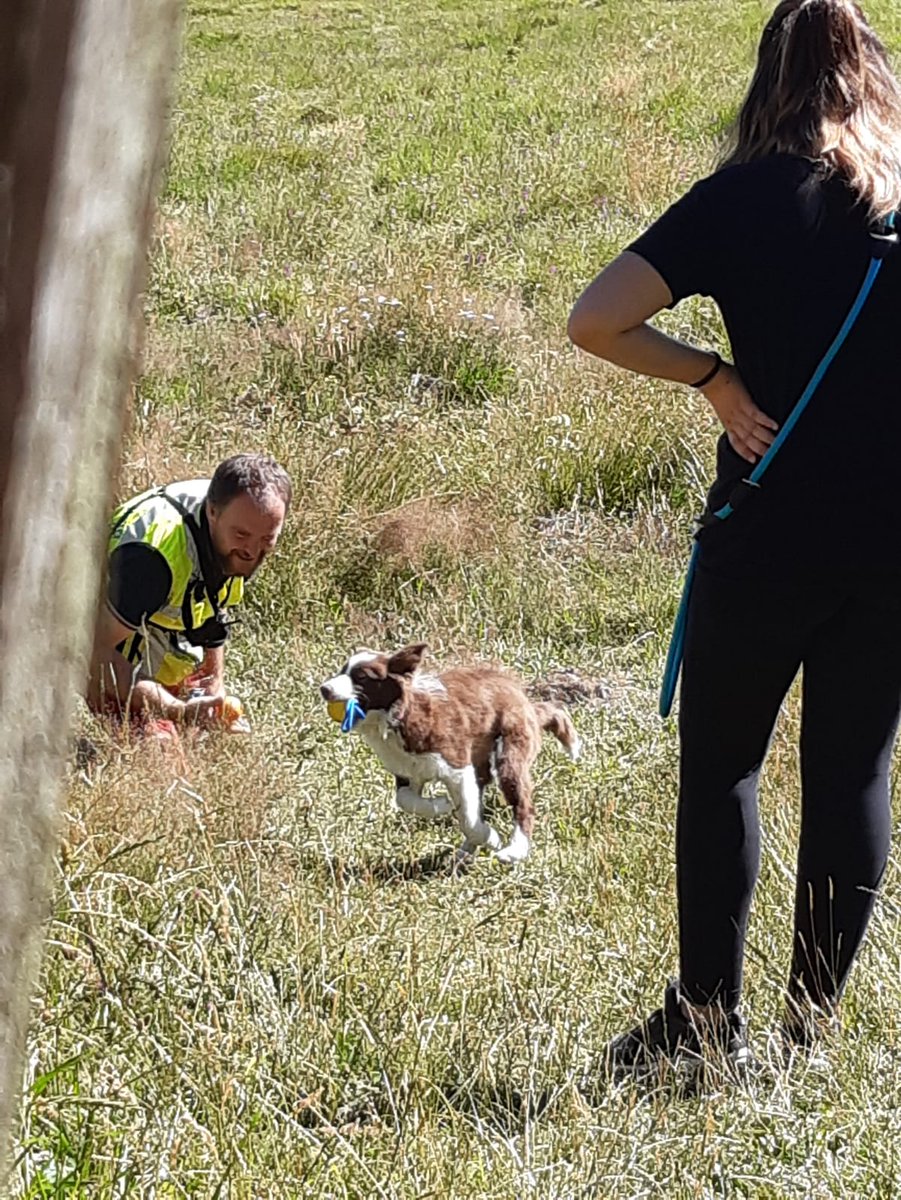 aib_pc's tweet photo. 🐾🐕 Ieri il nostro Nucleo Cinofilo da Soccorso Gruppo Genova è stato impegnato in una giornata di addestramento molto intensa, presso un'area in località Piani di Paglia.
Due le novità della giornata:
- la prima tecnica, con l'utilizzo di un sistema gps sul cane. (1/3) https://t.co/YGdtiJTpy0