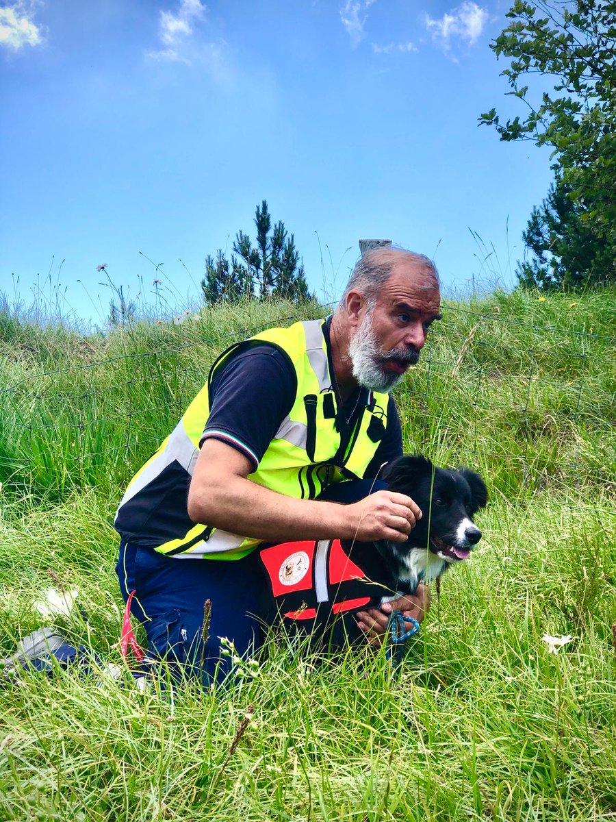 aib_pc's tweet photo. Come ci ha confidato Fulvio: "un' innovazione davvero interessante, perché si aprono molte opportunità di lavoro in più";
- la seconda invece ha un musetto simpaticissimo e si chiama Andromeda, giovanissima Border di appena 3 mesi! ❤️ (2/3) https://t.co/bxedySOad7