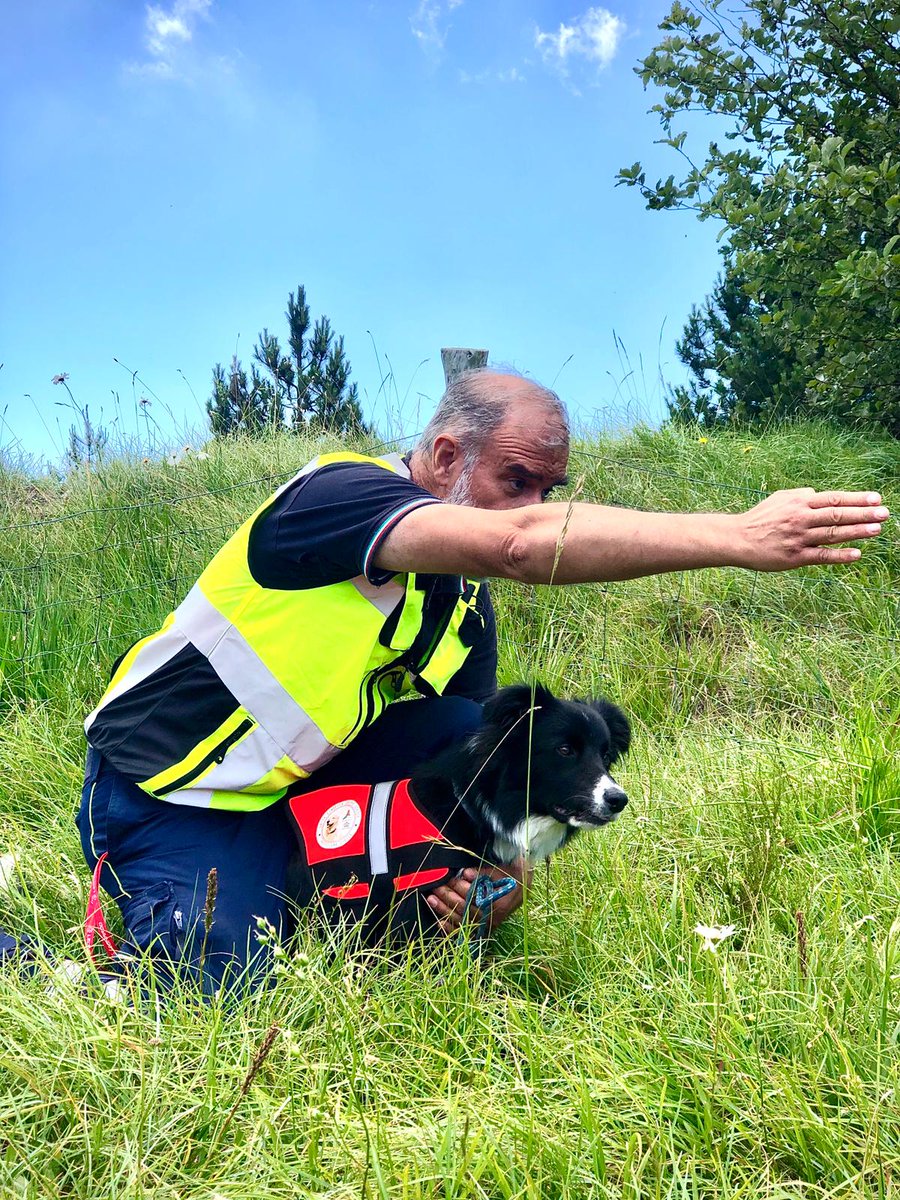 aib_pc's tweet photo. Come ci ha confidato Fulvio: "un' innovazione davvero interessante, perché si aprono molte opportunità di lavoro in più";
- la seconda invece ha un musetto simpaticissimo e si chiama Andromeda, giovanissima Border di appena 3 mesi! ❤️ (2/3) https://t.co/bxedySOad7
