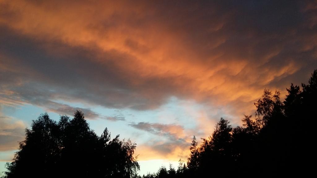 danelka_iv's tweet photo. #Kalich pondělí 21:19 a červánky odrážející se v jeho hladině.
Oranžová záře nad táborem - asi na počest Žanka z Husinca, co zfajroval v Pakostnici. 🔥 https://t.co/trLw8njHk3