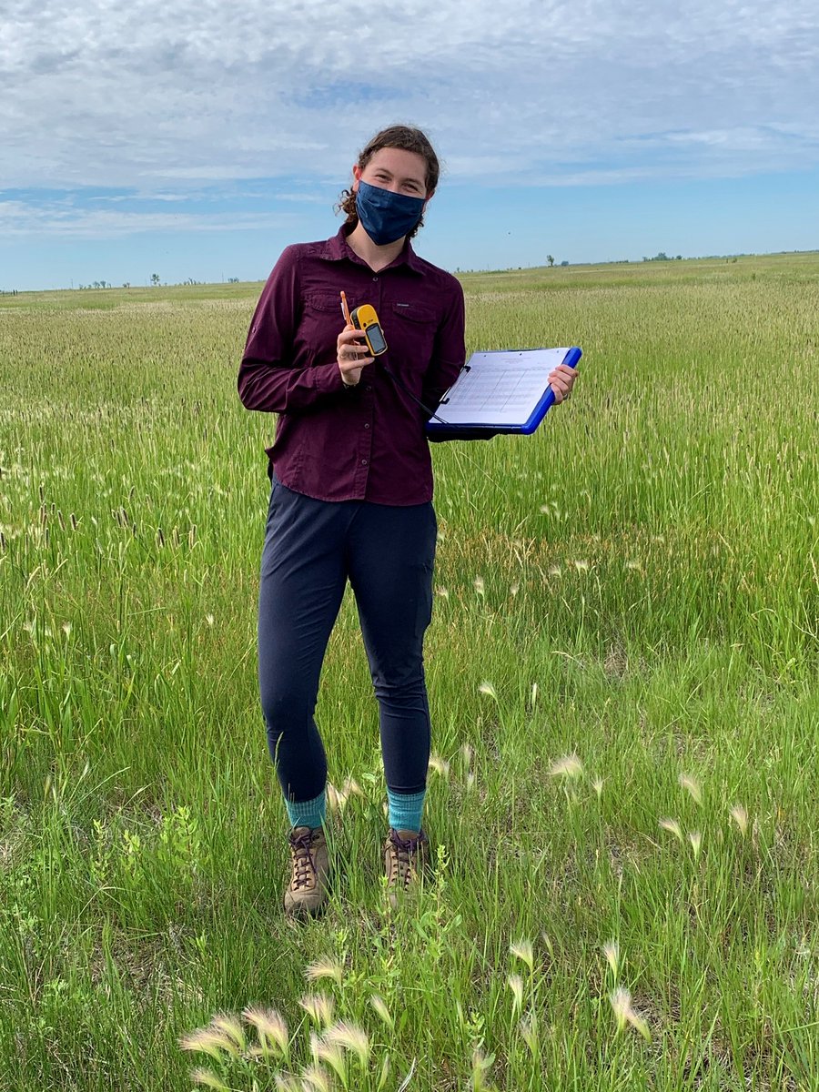 UNDBiology's tweet photo. PhD student Rachael Plunkett (Darby Lab) is hard at work collecting soil samples this summer to evaluate soil health in the region in response to conservation practices through the Natural Resources Conservation Service (NRCS). #soilhealth #soilecology #GradStudentResearch https://t.co/lQHZGxggcs