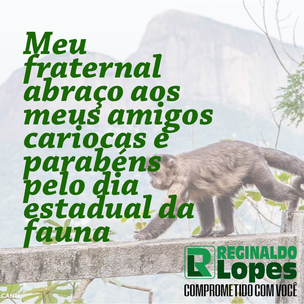oreginaldolopes's tweet photo. https://t.co/yEhNPIX6W1