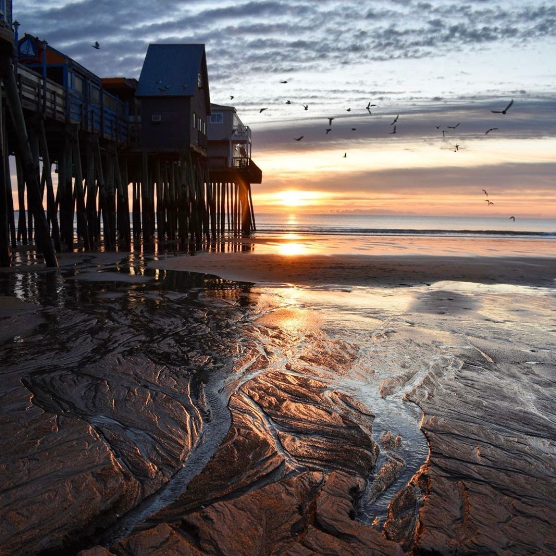 HarborHempCo's tweet photo. โIf the ocean can calm itself, so can you. We are both salt water mixed with air.โ โ Nayyirah Waheed
๐ท: @ashleydyerr
#navigateyourowncourse #harborhemp #cbd #cbdwellness #cbdhealth #cbdoil #naturalhealth #newengland #hemp #smallbatchcbd #craftcbd #labtested #oldorchardbeach https://t.co/sFC6xYkIFq