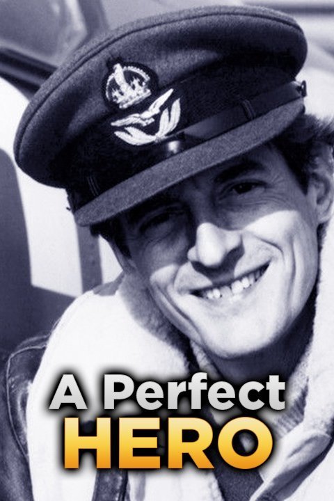 In the 1991 British miniseries A Perfect Hero, Nigel Havers plays a handsome playboy RAF fighter pilots who is severed burned facially.James Fox is his doctor.