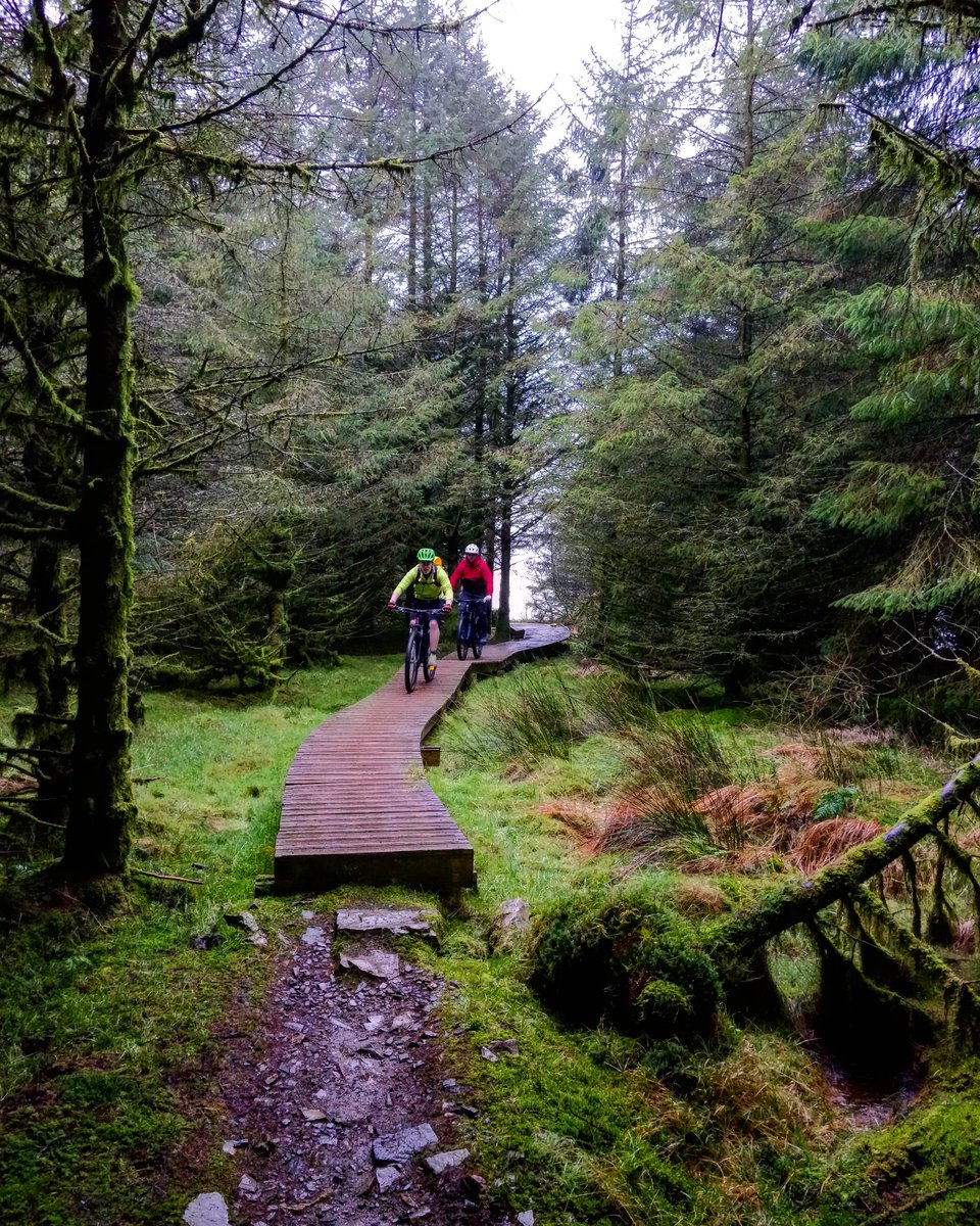 CloughmorXtreme's tweet photo. awesome board walks on #rostrevormtbtrails have you tackled the 27km #redloop yet??? 😎 #discoverni #tourismni #embraceagiantspirit #cloughmorextreme #visitrostrevor #visitmourne #enjoythemournes #ireland #mountianbike @MountainBikeNI @Mournelive @DiscoverNI @NITouristBoard https://t.co/pPMvILumkg