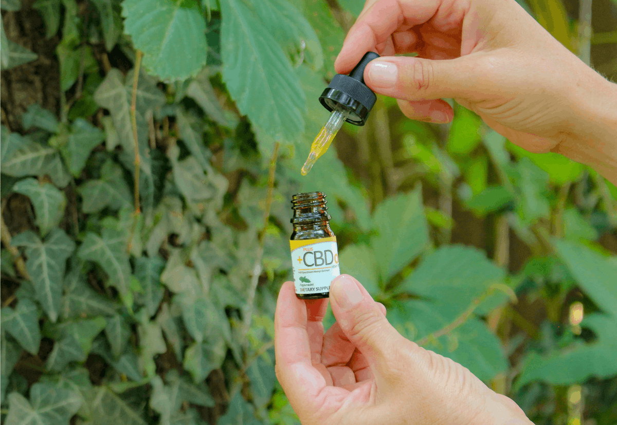 HealthyHempLLC's tweet photo. Refresh your Monday with +PlusCBD's Peppermint Tincture, now with 25% off! 54π Shop Now:
https://t.co/cIaCFnbBc5
#youpluscbd #cbd #cbdoil #hemp #hempoil #cannabinoids #gold #mint #mondaymotivation #mondays https://t.co/bj1UAnjldZ