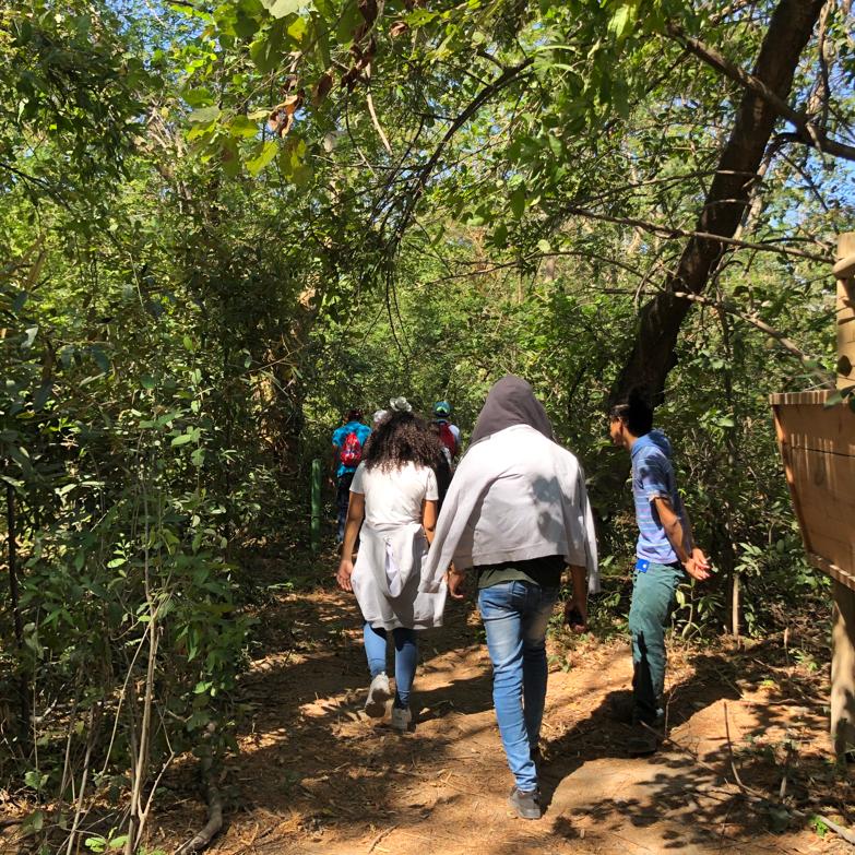 Unimagdalena's tweet photo. #DatosUM | El Bosque Seco Tropical de @Unimagdalena ha sido un escenario de estudio para estudiantes y docentes, quienes han determinado la importancia de los relictos para la conservación de poblaciones de aves residentes y migratorias dentro del casco urbano de Santa Marta. https://t.co/kNlXfMJLaY