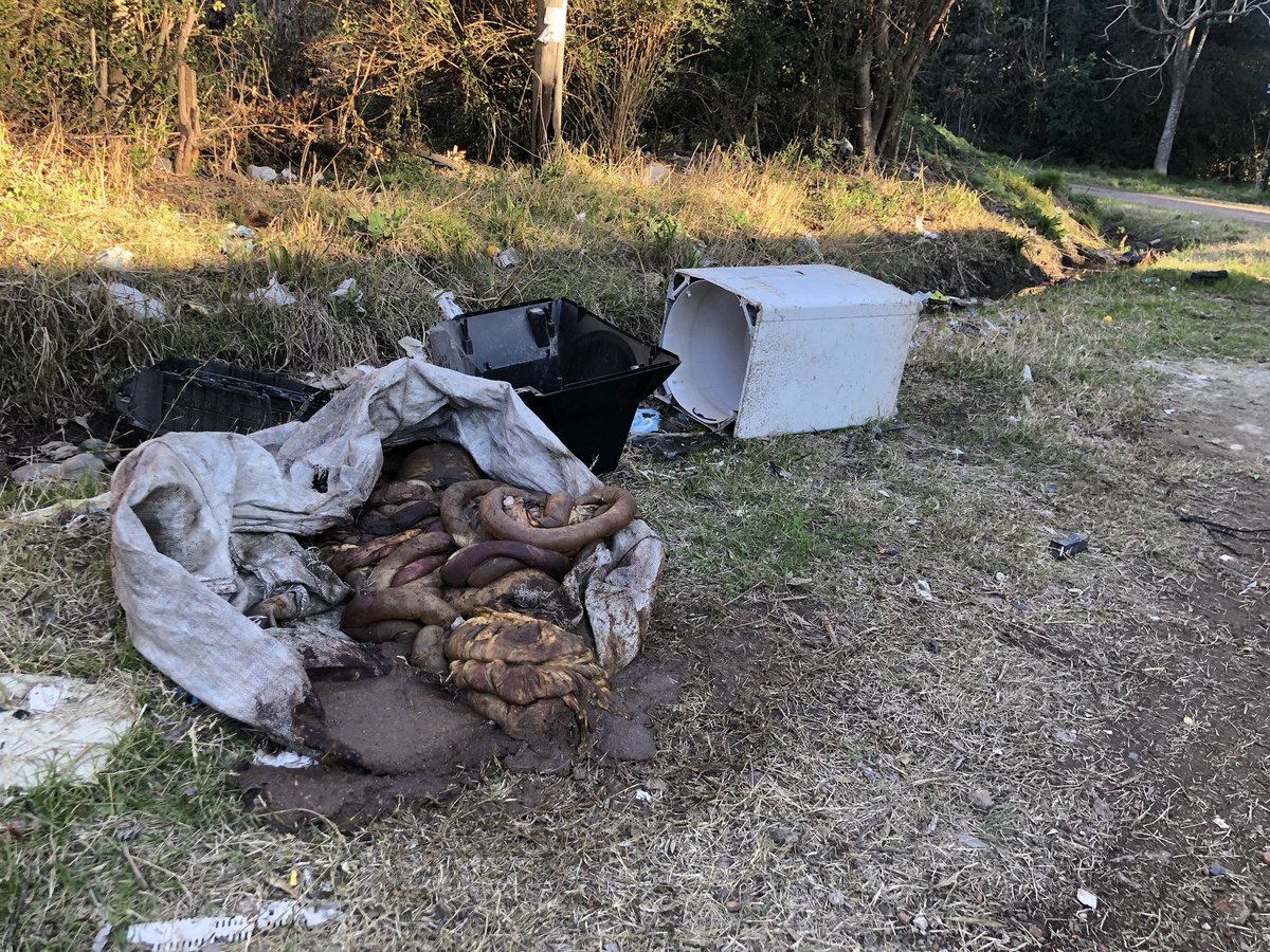 Piruvolpe's tweet photo. Vecinos del Barrio Las Quintas #VillaAstolfi Decimos #NoAlBasural que se está formando en Lago Fagnano y Mendoza @FedericoAchaval @pilaradiario https://t.co/1dsz3Bl41y