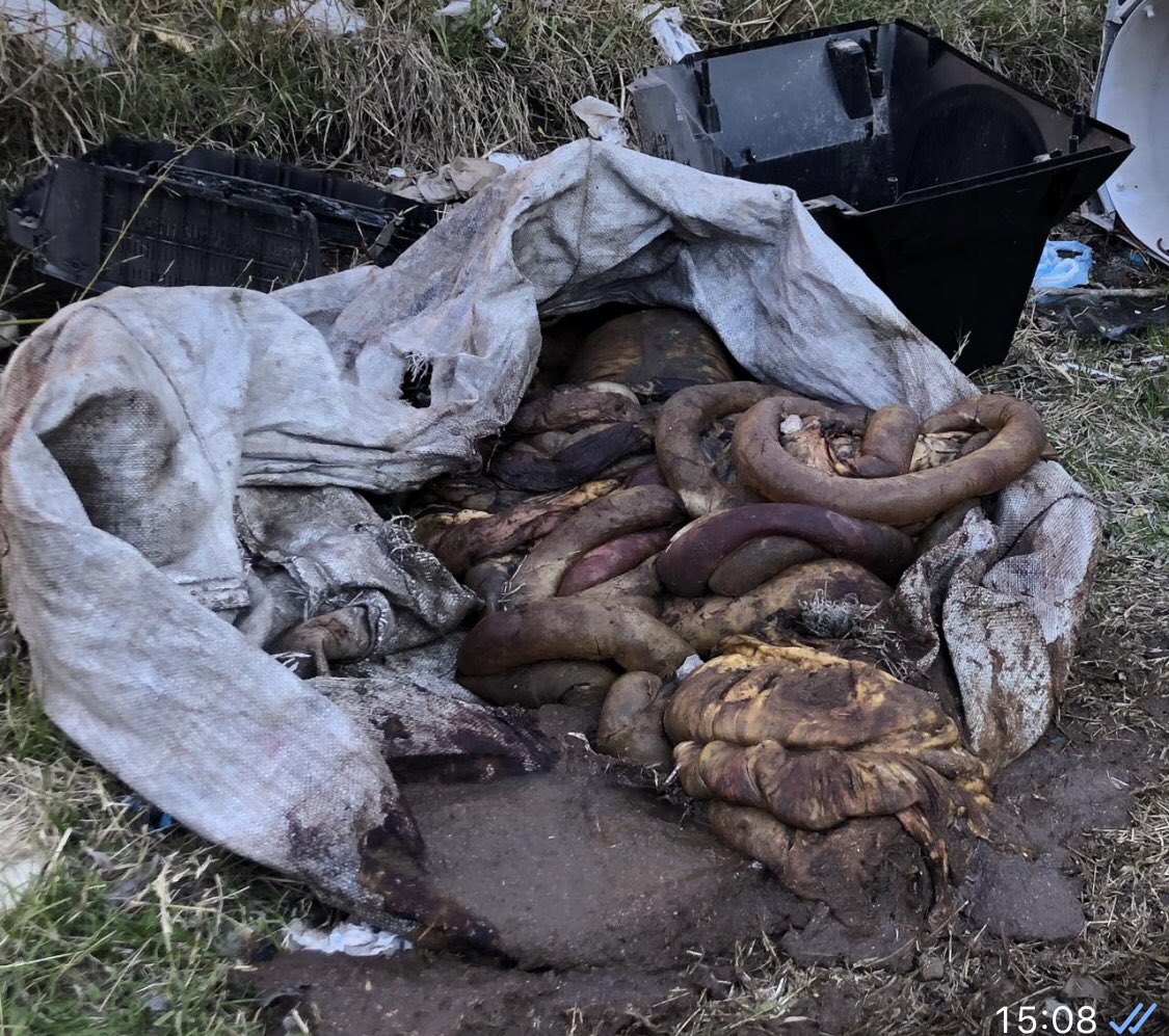 Piruvolpe's tweet photo. Vecinos del Barrio Las Quintas #VillaAstolfi Decimos #NoAlBasural que se está formando en Lago Fagnano y Mendoza @FedericoAchaval @pilaradiario https://t.co/1dsz3Bl41y
