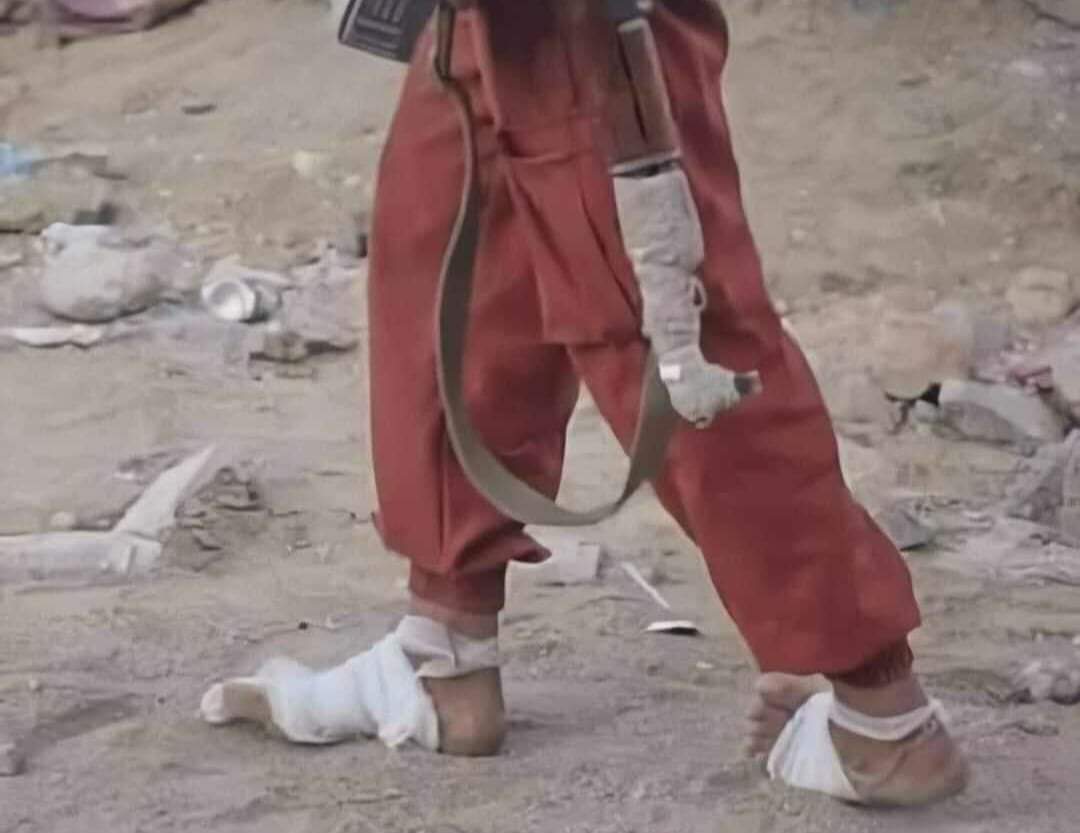 علي. ح. فقيه tweet media