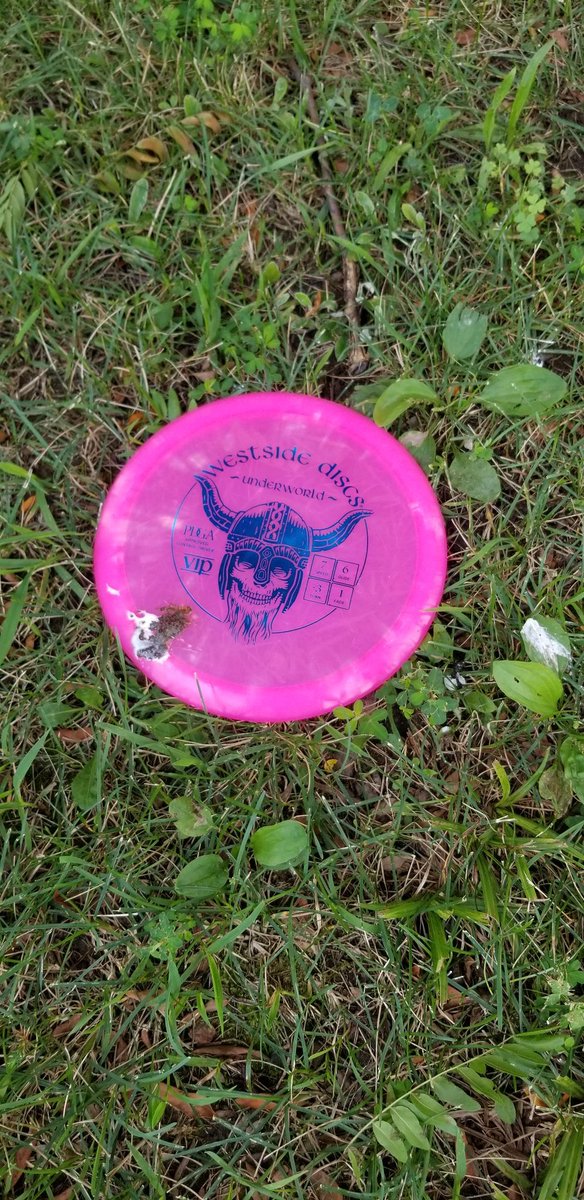 walesofscotland's tweet photo. Apparantly I'm not the only one who didn't like my throw into the tree! #StupidTree 
#DiscGolf #BirdShit https://t.co/Jz69d4DKrf
