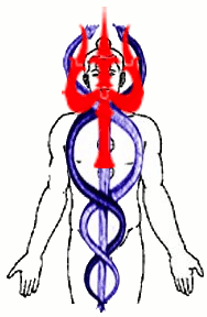 5)Trishul-The 3 prongs denote 3 nadis/energies Ida at the left giving d right to Material pursuitsPingala at the right giving d right to Spiritual prowess & Sushumna in the centre bringing abt the perfect state of balance between the two which is the path to Moksha