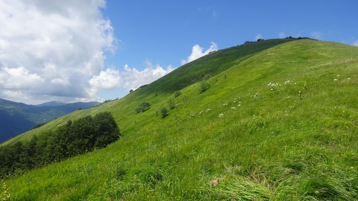 maurizioweb's tweet image. Bella #escursione al monte Alfeo (m.1651) partendo da #Ottone (PC).
Circa 1300 m. di dislivello per un totale di 20 km di sentiero, passando per Truzzi, Case Cuccoli e Aglio.
Bel panorama e bella giornata.

#maurizioweb #montagna #appennino #escursionismo #trekking #natura