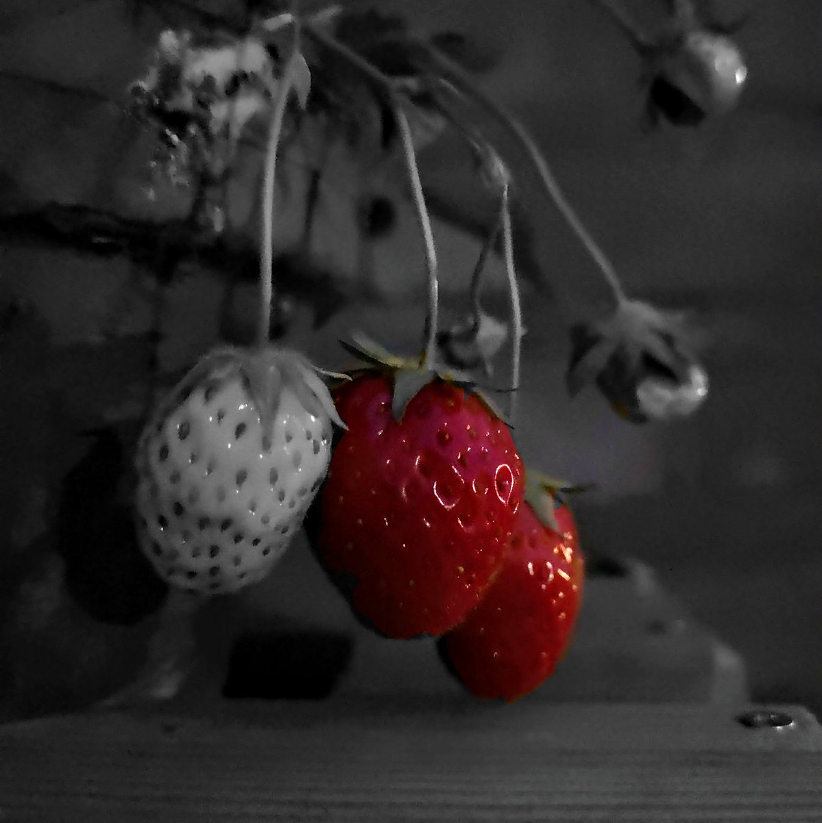 M@rtin Goedbloed tweet media