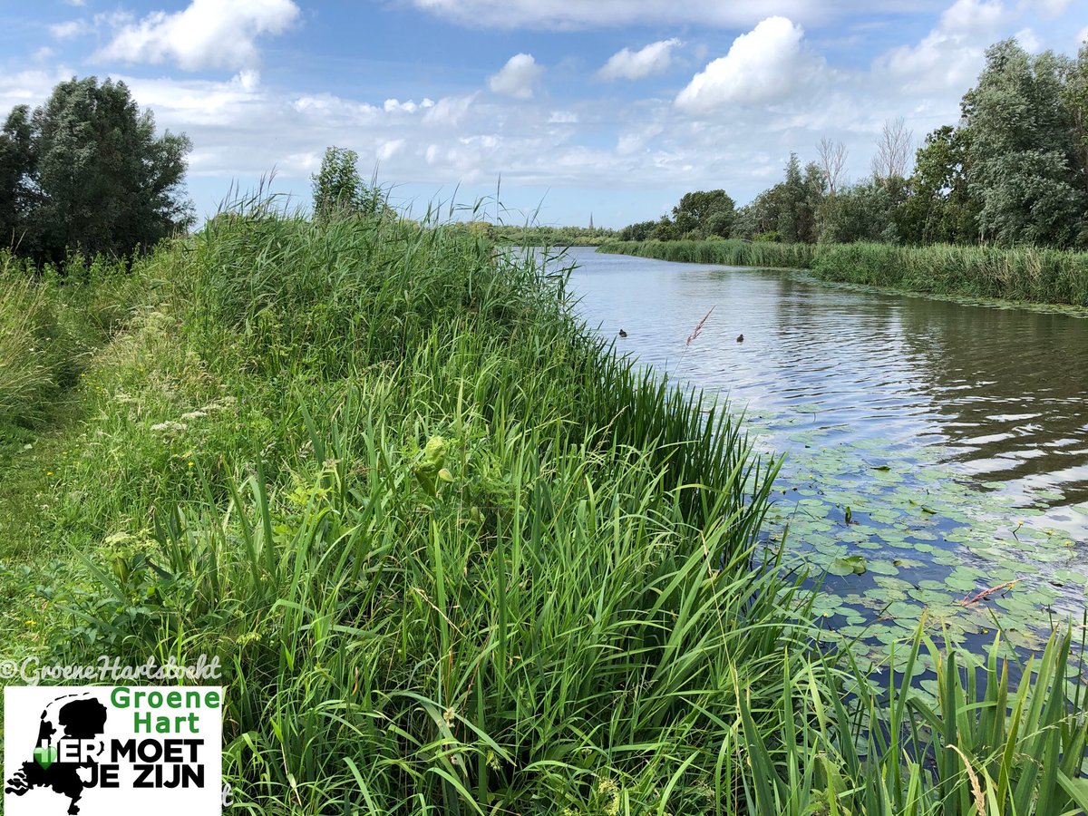 Groenehartstoc1's tweet photo. #Hiermoetjezijn: GroeneHart 
Heb je wel eens gehoord van de #Waver, #Grecht, #Vlist, #Does, #Ade, #Giessen, #Zijl, #Vecht, #Lek, #Meije, #Rotte, #Alblas, #WijdeAa, #LangeLinschoten, #Merwede, #Loet, #Amstel, #IJssel, #Drecht, #OudeRijn, #Bijleveld, #Gouwe, #Winkel of #Angstel? https://t.co/Snr4YBPe65