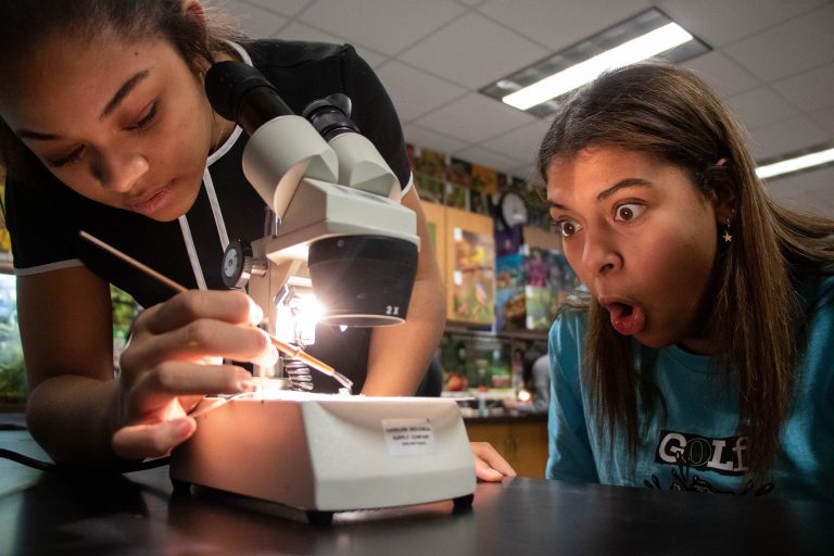 yearbookforever's tweet photo. Congratulations to our 2020 Photo Contest winners and honorable mentions! https://t.co/1ifbH7kult

#2020PhotoContest https://t.co/eqSPFSX4x4