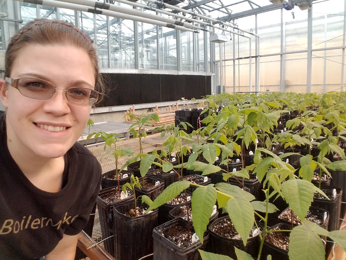 Purdue Forestry & Natural Resources tweet media