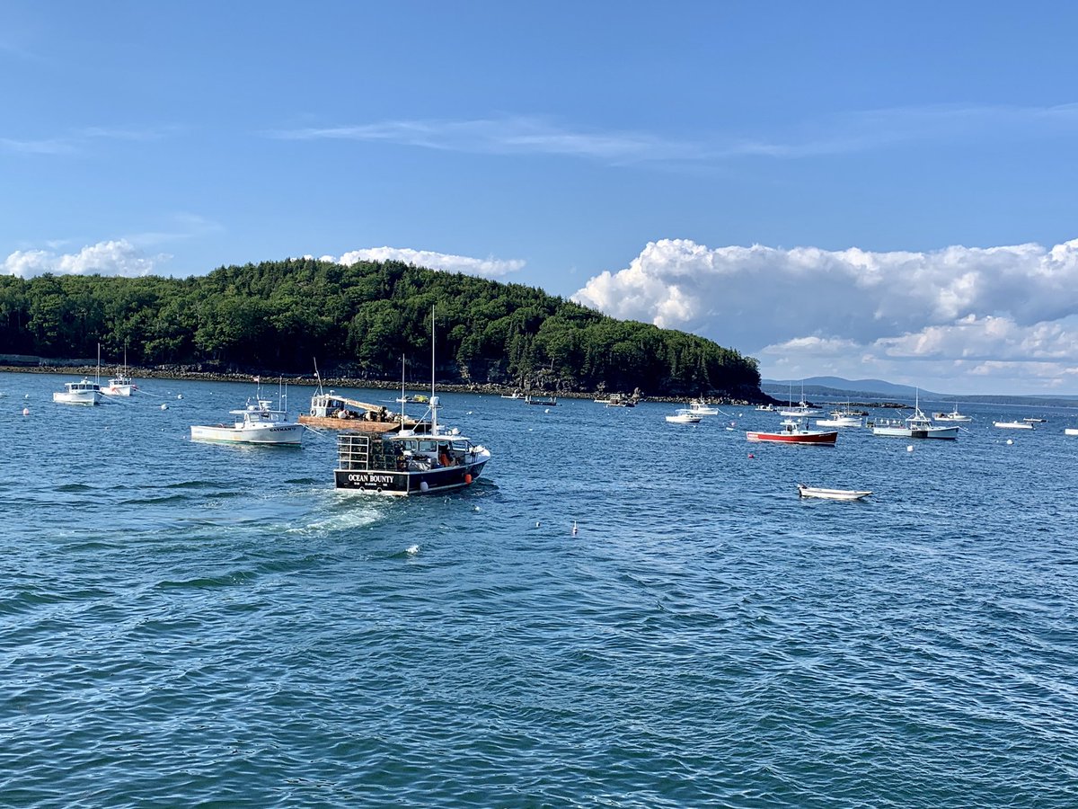 Essau1969's tweet photo. #MondayMotivaton #BarHarbour #Maine WowZa๐ #MaineStyle ๐ https://t.co/GnQRaKkwEJ