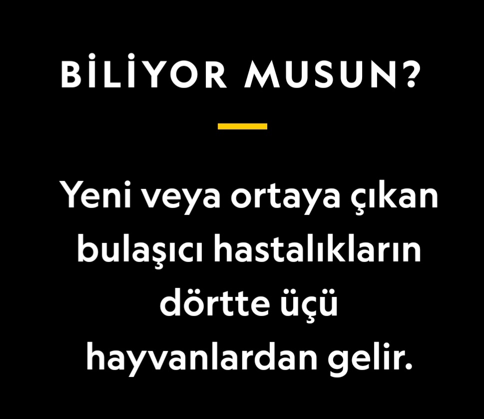 ▪︎Veteriner Hekimler;
Sadece, hayvanlarınızın, yediğiniz hayvansal gıdaların değil, 
▪︎Sizin sağlığınız için çalışırlar. 
▪︎Resimlerdeki spotlari okuyun lütfen, 
#teksağlık #COVID19 #coronavirus #WorldZoonosesDay #SaglikcilarTakiplesiyor #Sağlıktaperformansolmaz