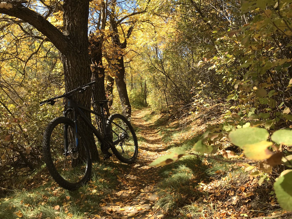 Sk_Trails's tweet photo. We would like to thank those who contributed to the #SaskTrailsPhotoContest. This year we received over 400 pictures! The winners will be announced tomorrow. Those who have won will be contacted to receive their prize. https://t.co/9Dom1JBTLj