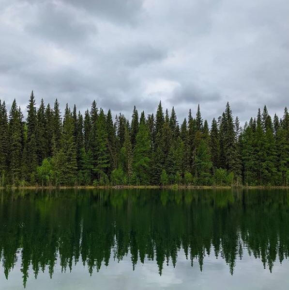 Sk_Trails's tweet photo. We would like to thank those who contributed to the #SaskTrailsPhotoContest. This year we received over 400 pictures! The winners will be announced tomorrow. Those who have won will be contacted to receive their prize. https://t.co/9Dom1JBTLj