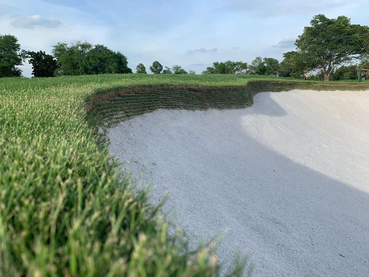 STSAsia's tweet photo. Newly renovated bunkers at Amata Spring Golf Club. EcoBunker edges, SandTrapper liner and Zeon Zoysia sod. These bunkers will be virtually maintenance free, especially during the tropical storms. #builditonce #sts #amataspring #brfzoysia https://t.co/l2w6fjGtgj