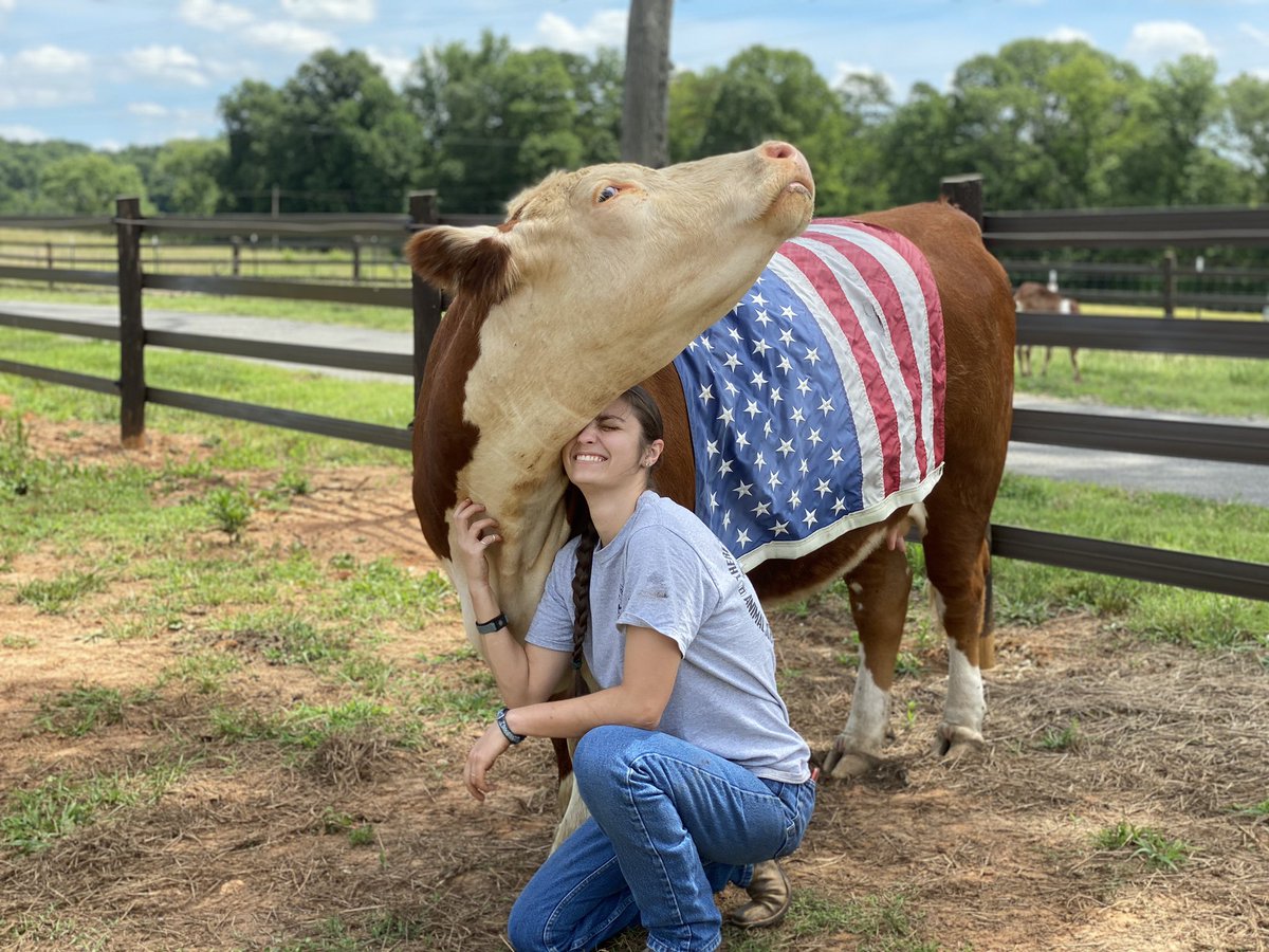 harley_marie16's tweet photo. #Americow https://t.co/QyAW8hgQKK
