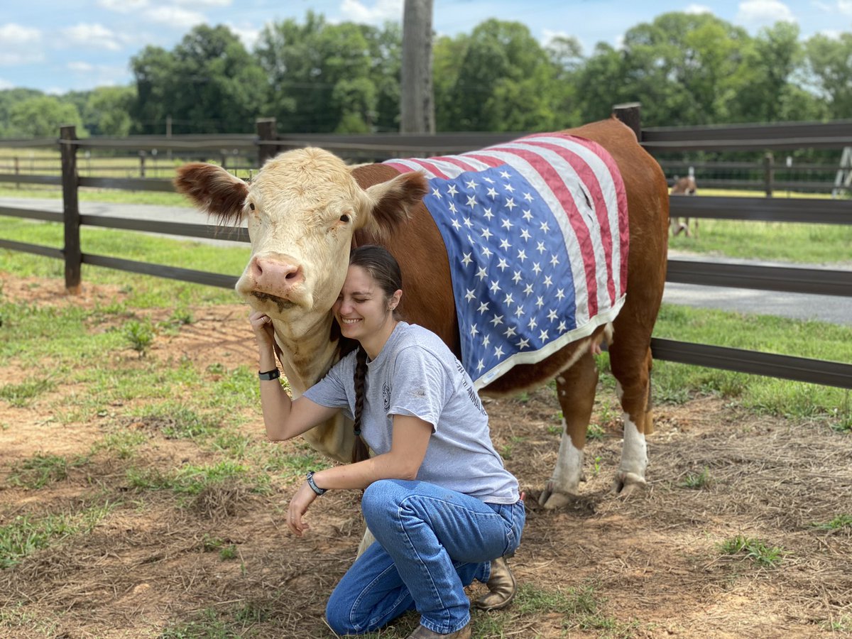 harley_marie16's tweet photo. #Americow https://t.co/QyAW8hgQKK