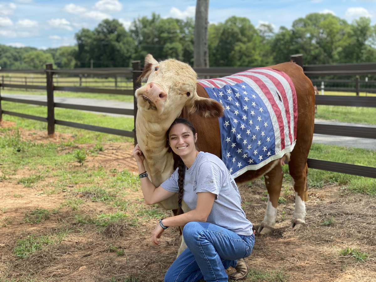 harley_marie16's tweet photo. #Americow https://t.co/QyAW8hgQKK
