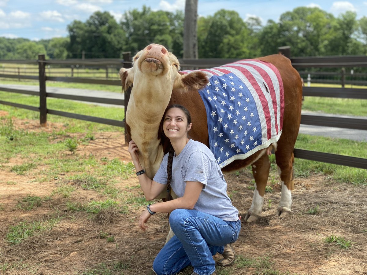 harley_marie16's tweet photo. #Americow https://t.co/QyAW8hgQKK