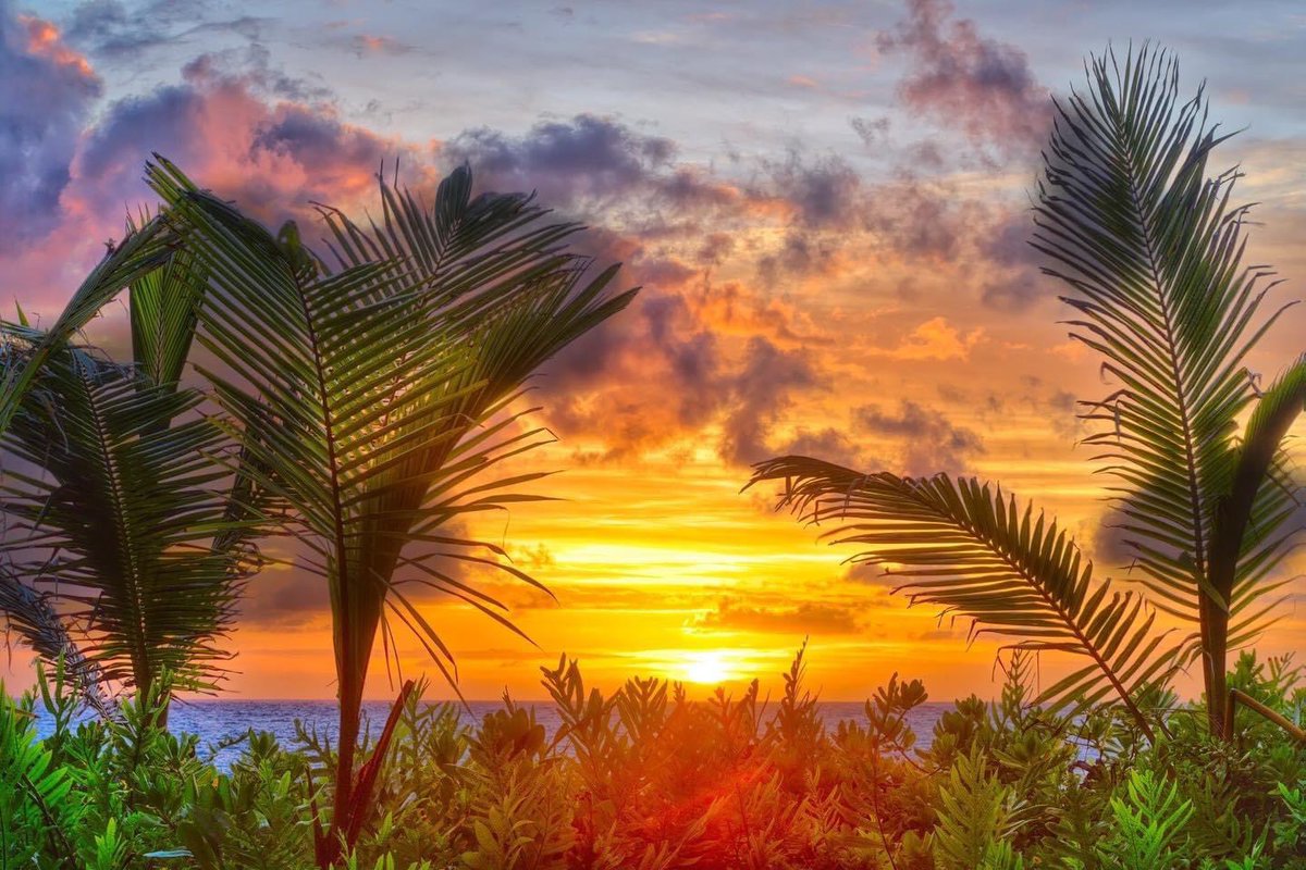 ILoveHawaiiVR's tweet photo. Of all the beautiful things you will experience on O‘ahu, sunsets win hands-down.
#ILoveHawaii #VacationTime #GoodTimes #VisitHawaii #HawaiianVibes #VacationDream #VisitOahu #VisitKauai #VisitTheIslands #VacationRentals #SunsetCruise #HawaiianSunsets #ExploreOahu #ILoveOahu https://t.co/fozhT84y3A