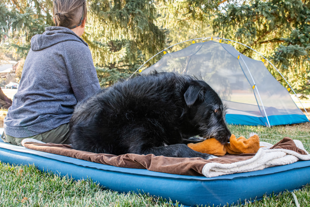 outdoorprolink's tweet photo. Comfy enough for furry friends AND humans.

#OutdoorProlink Pro Mollie Bailey tested the @expedint DeepSleep Mat 7.5 on multiple camping trips. Full review on the blog! https://t.co/8eApzY2Olo