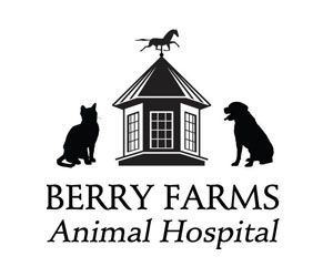 Berry Farms Animal Hospital serves animals of all kinds in our community! Please join me in thanking them for their support of A Pawsome Evening 2020!
