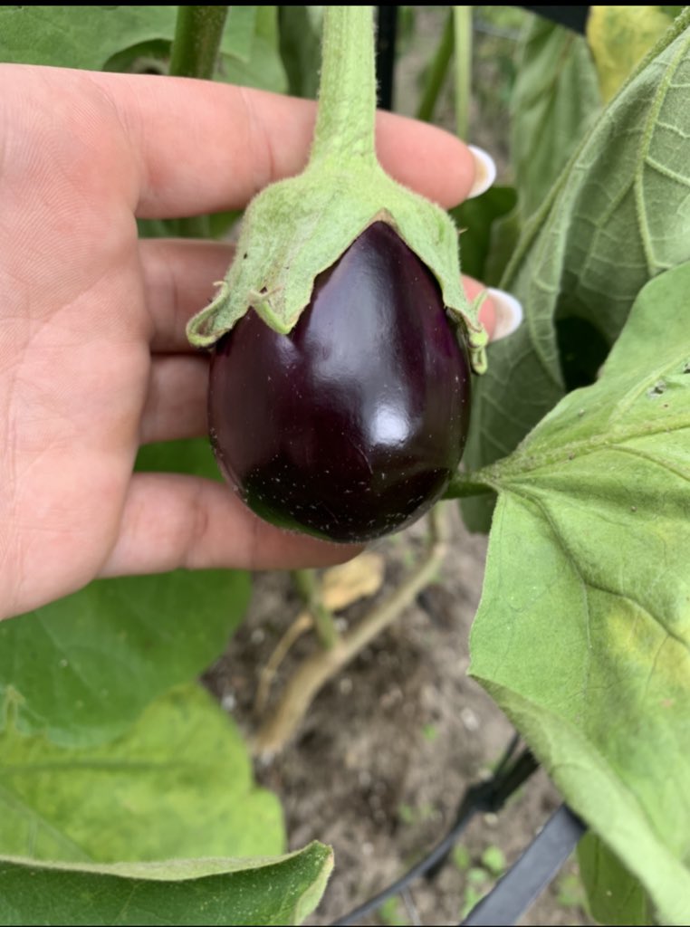 LIV Morgan tweet media