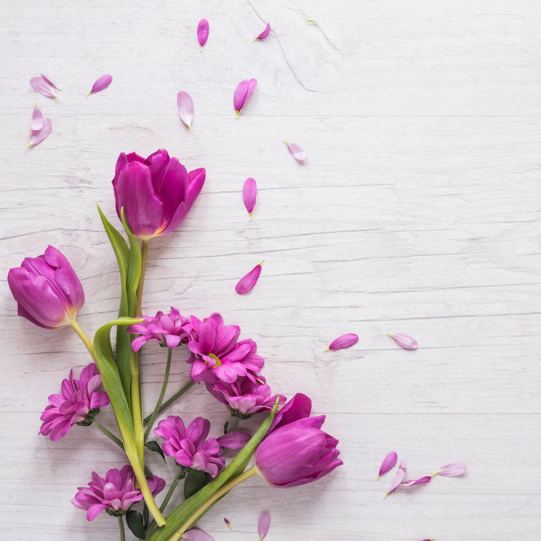 Every event, no matter how big or small, can be made even more beautiful if there will be flowers present🌷🌹

#texasevents #dallasevents #planoevents #dfwevents #dortworthevents #texasfloral #texasflowers #planoflowers