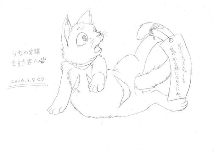 七夕イラストを
うちの子と
実家に居るおばあちゃん猫で
描いてみました!???ฅ(*°ω°*ฅ)*

#七夕の願い事
#七夕のお願い 
#七夕 
#動物好きな人と繋がりたい 
#絵描きさんと仲良くなりたい 