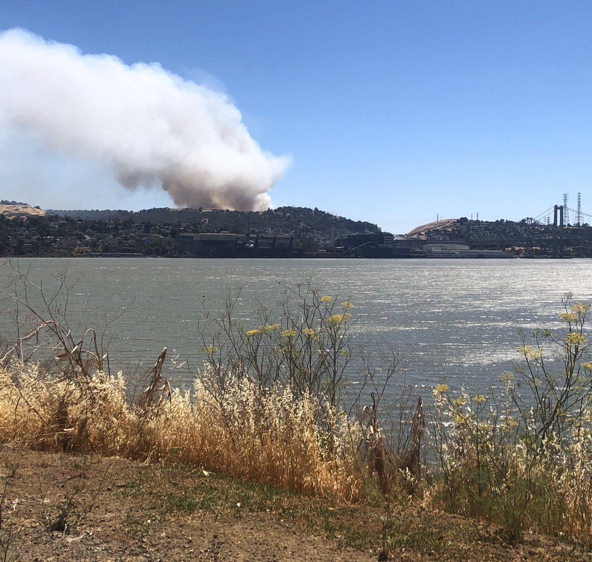 MsNReifert's tweet photo. And now #rodeo #rodeofire from my street! https://t.co/pMWtSgkT5b