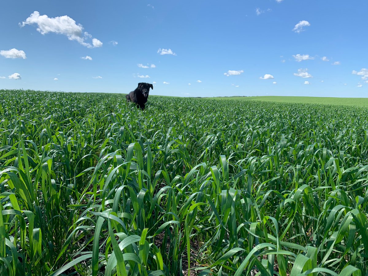 Amber Danderfer tweet media